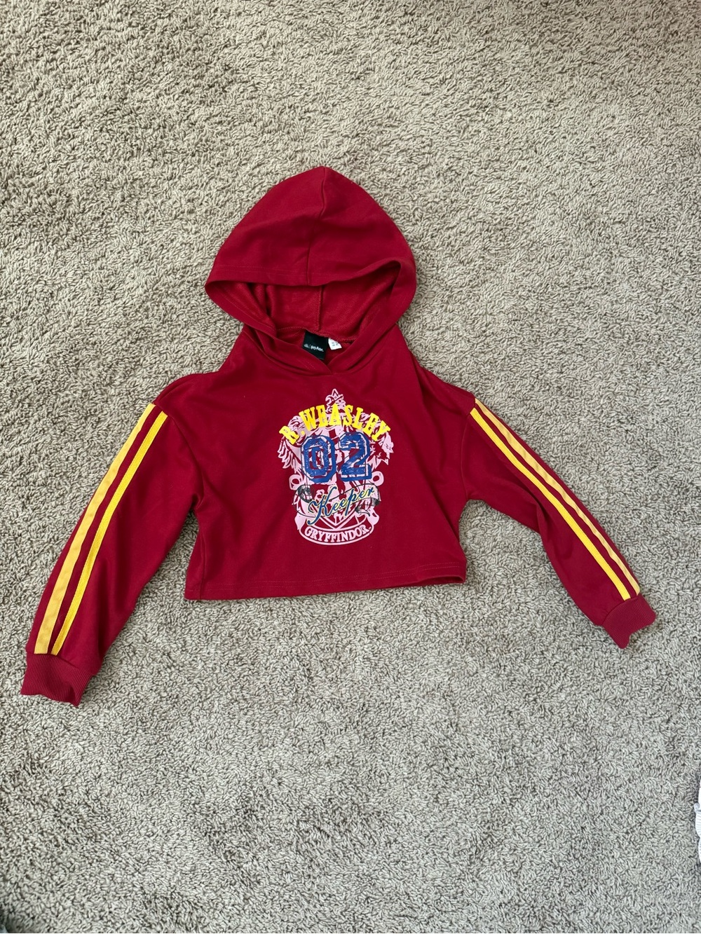 Harry Potter Gryffindor Cropped Sweater kids size 8